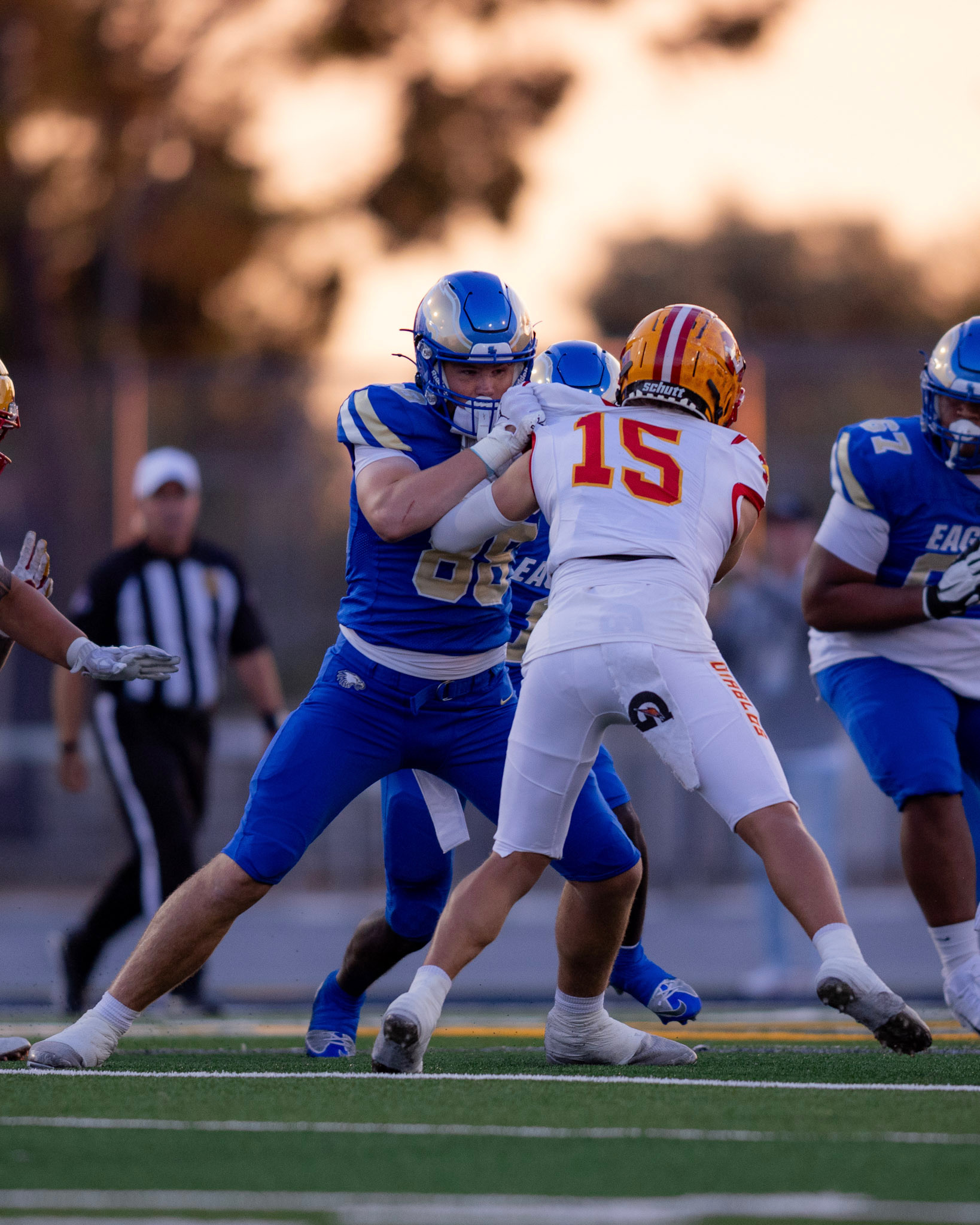 Sacha Guerdat - Action