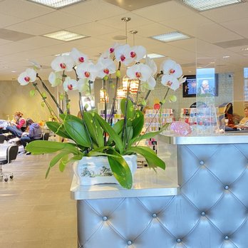 COSMO NAIL BAR AND ORGANIC SPA